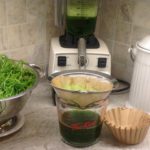 Making Wheatgrass Juice in a Vitamix