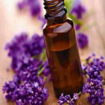 Lavender Essential Oil