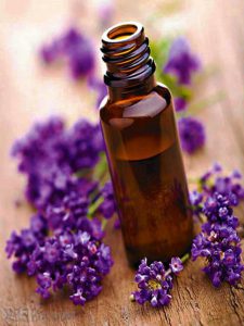 Lavender Essential Oil