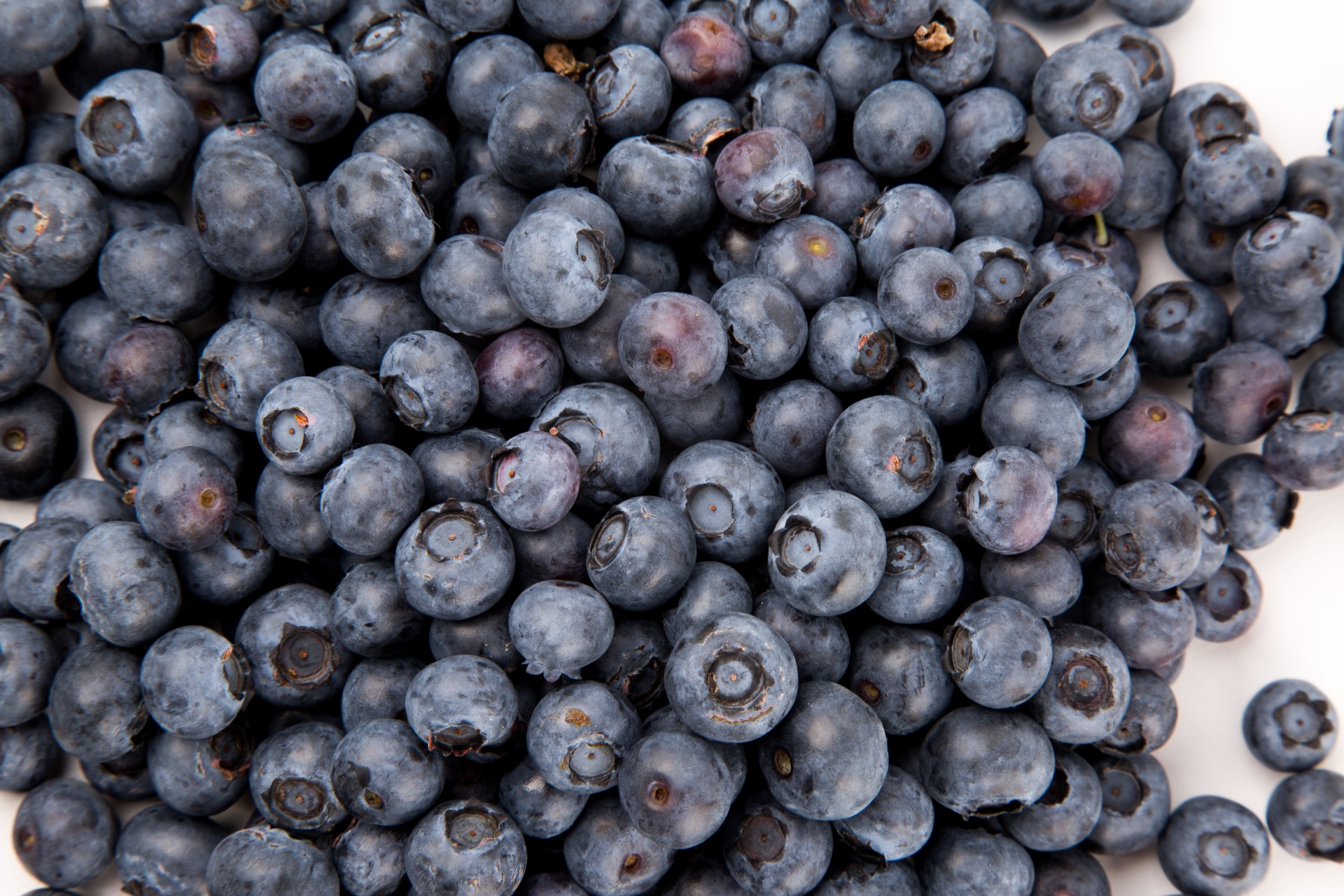 Blueberries