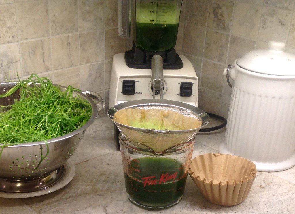 Making Wheatgrass Juice in a Vitamix
