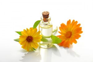 Calendula Flowers and Oil