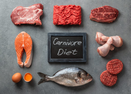 The Carnivore Diet – Harmful or Healing?