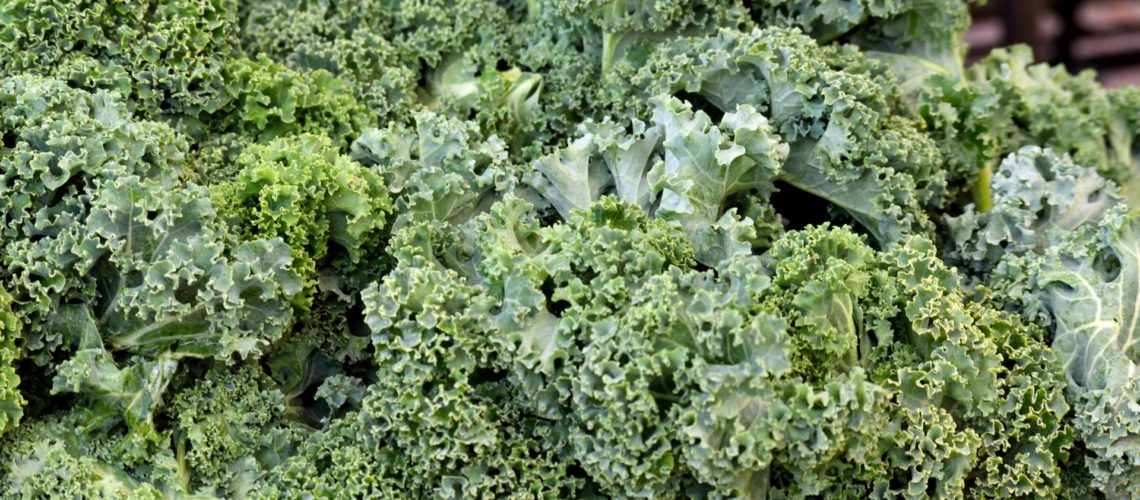 Supreme Kale Salad