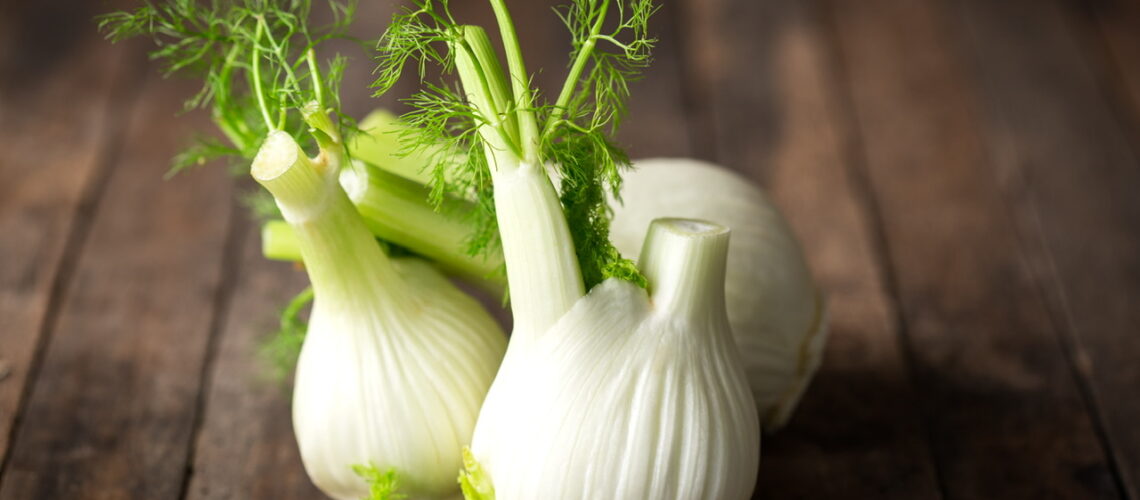 Fennel Citrus Salad