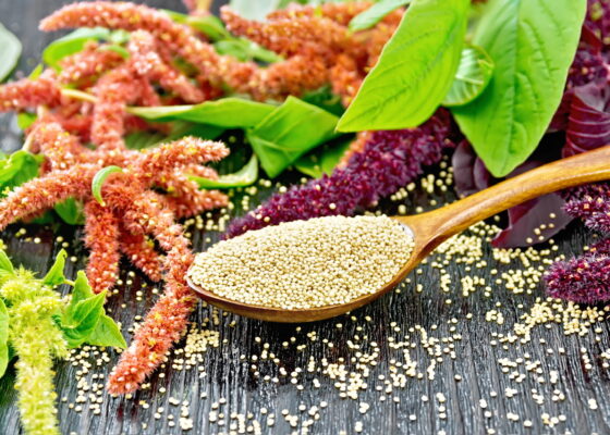 Amaranth: A Lesser Known Niche Grain