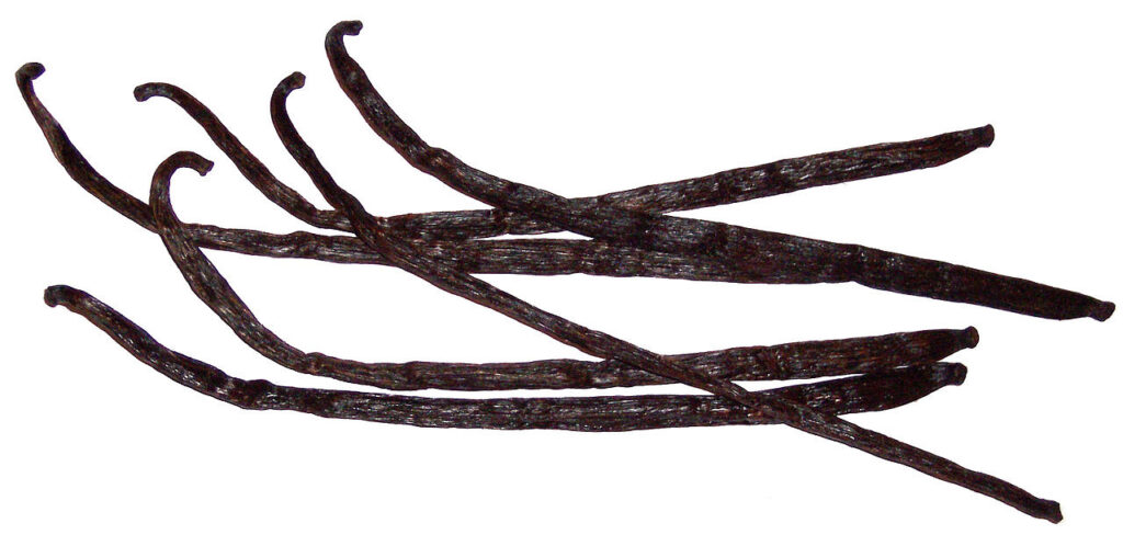 Vanilla beans.