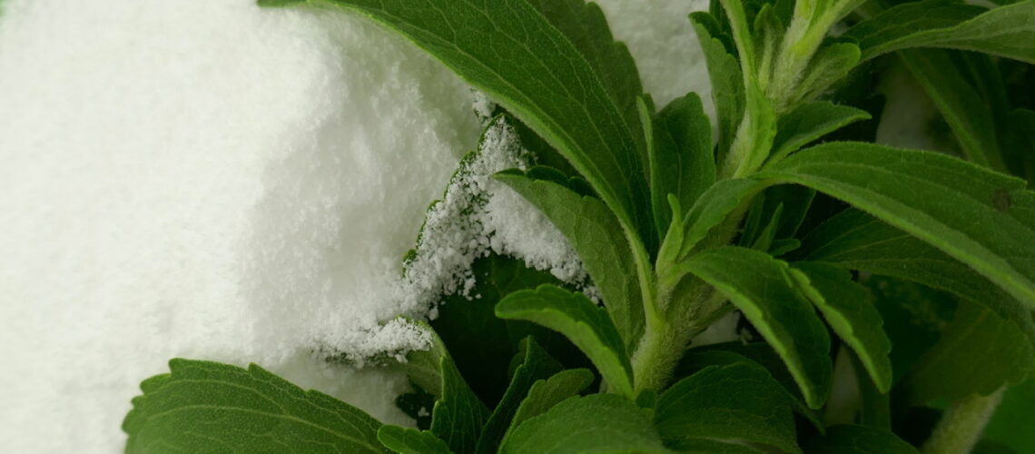 Sweet Stevia