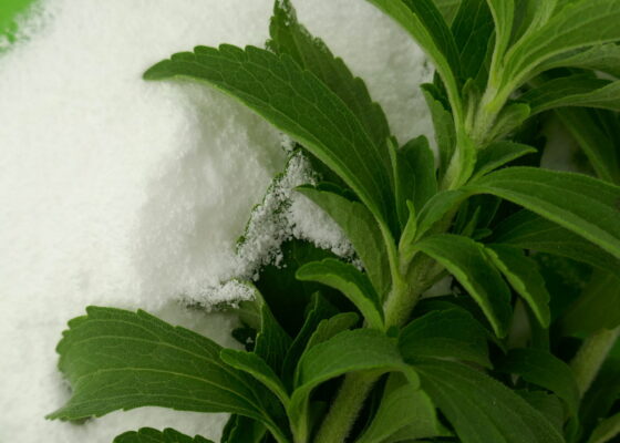 Sweet Stevia